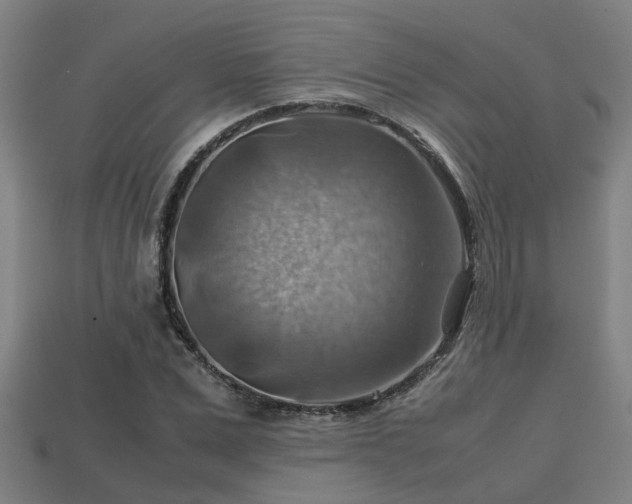 X0000113590975200909251132