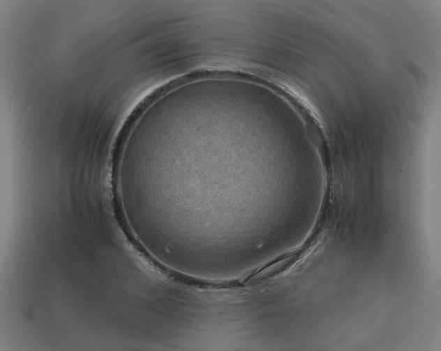 X0000113590976200909251132