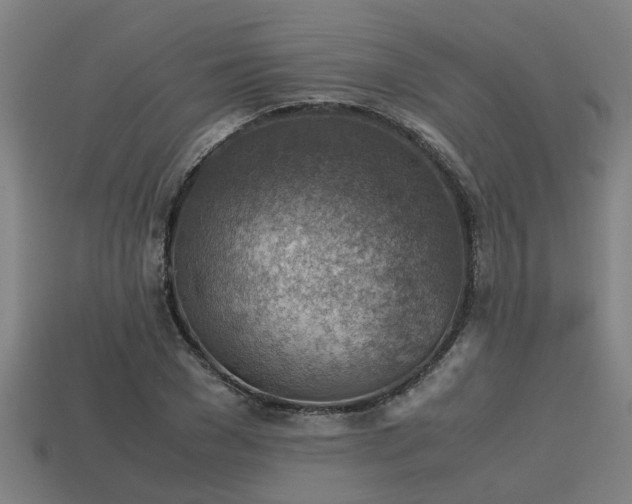 X0000113590977200909251132