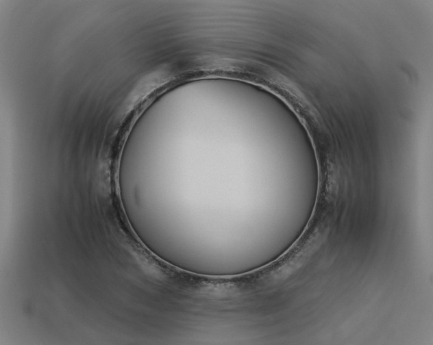 X0000113590978200909251132