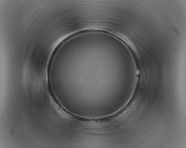 X0000113590980200909251132