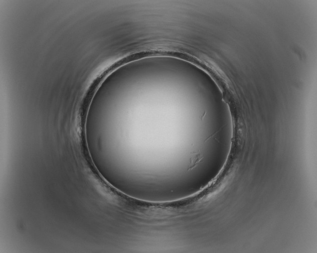 X0000113590981200909251132