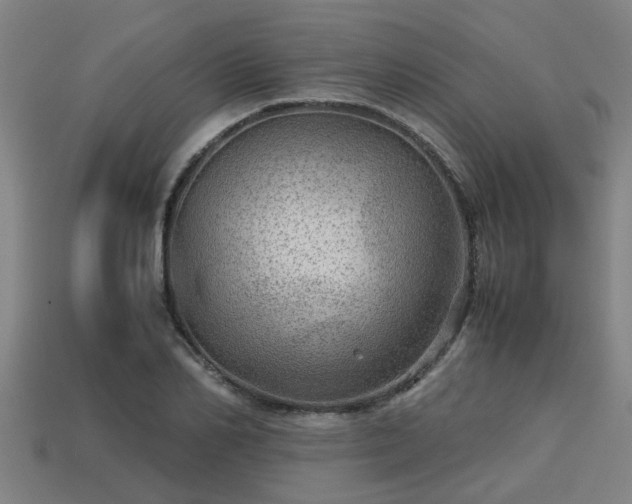 X0000113590982200909251132