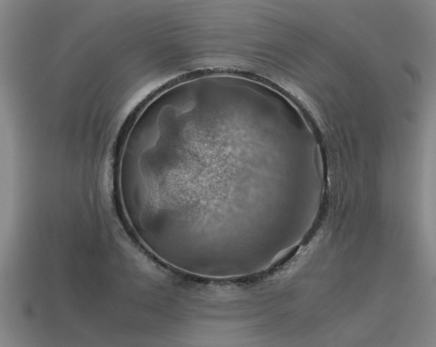 X0000113590983200909251132