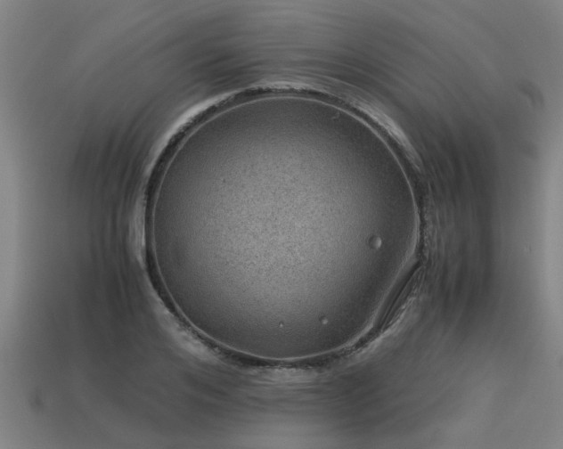 X0000113590984200909251132