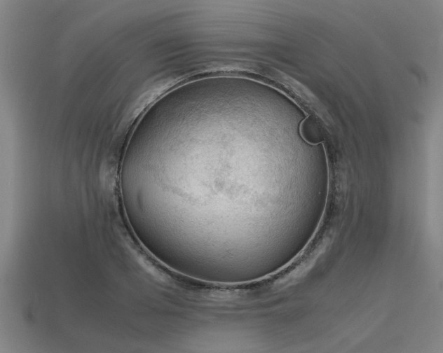 X0000113590985200909251132