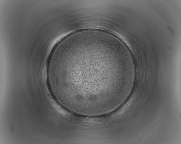 X0000113590987200909251132