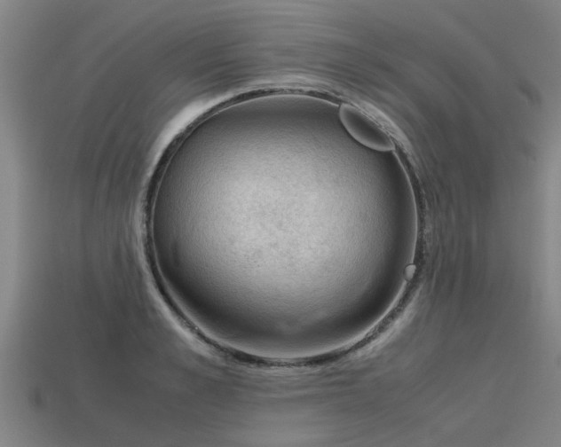 X0000113590989200909251132