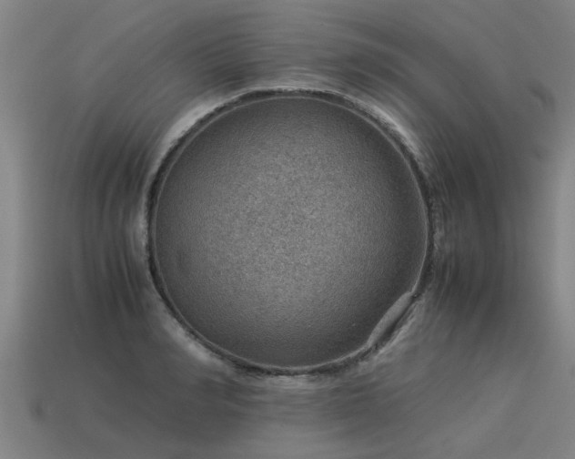 X0000113590990200909251132