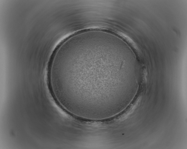 X0000113590991200909251132