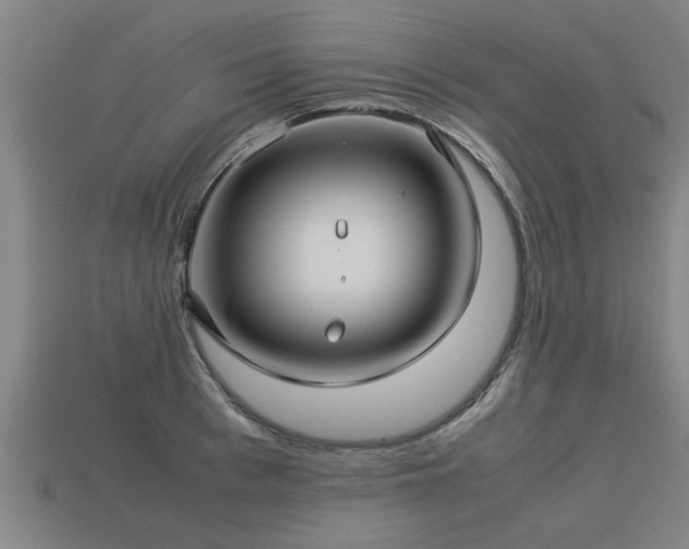 X0000113590993200909251132