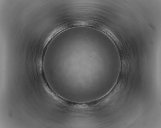 X0000113590994200909251132