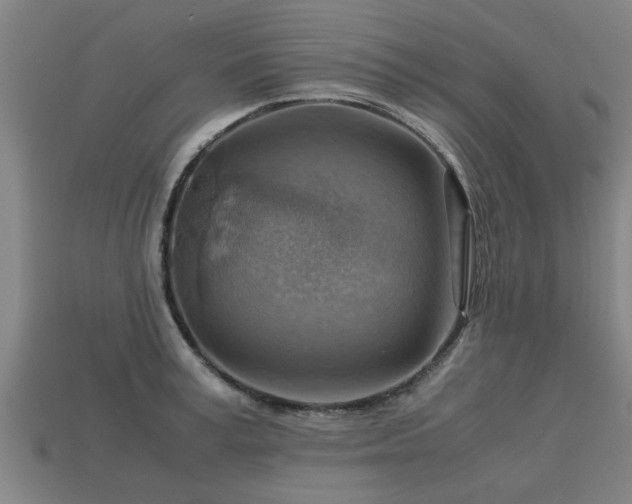 X0000113590995200909251132