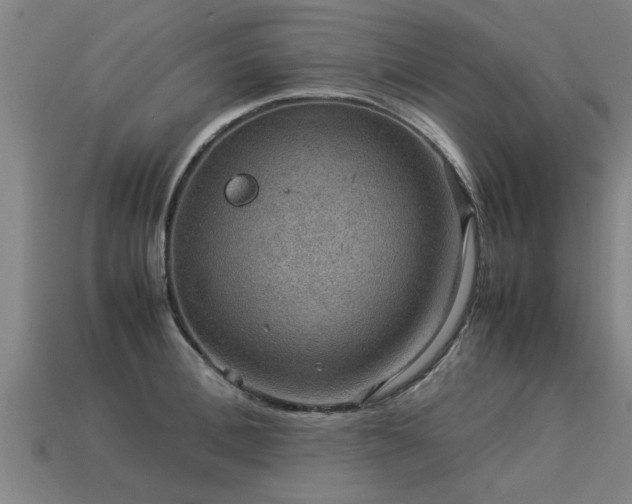 X0000113590996200909251132