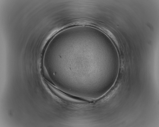 X0000113590997200909251132