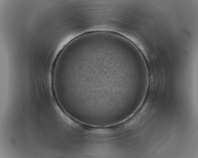 X0000113590998200909251132