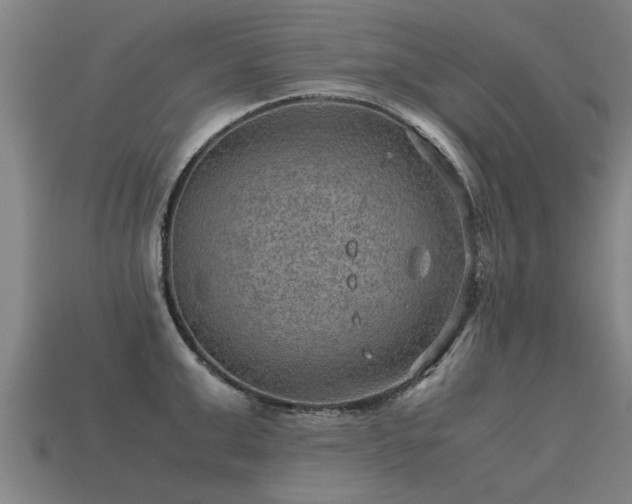 X0000113590999200909251132