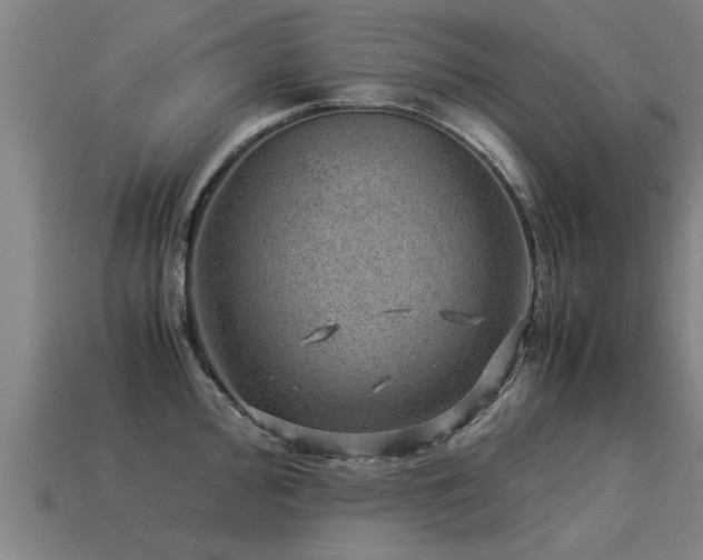 X0000113591000200909251132