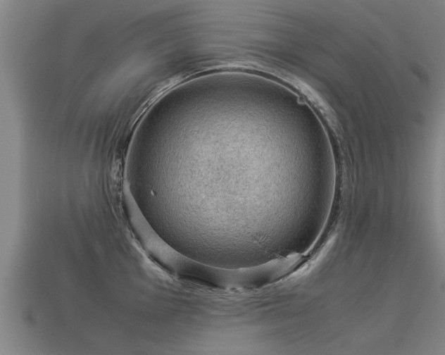 X0000113591001200909251132