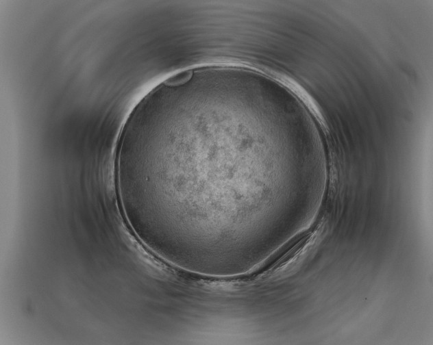 X0000113591004200909251132