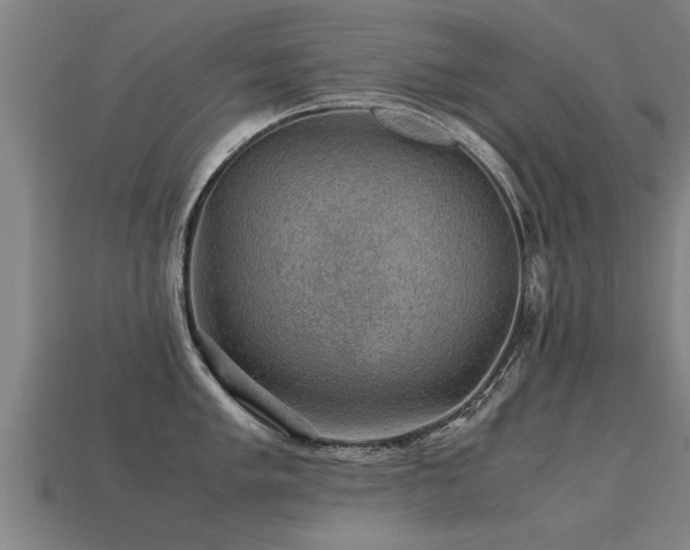 X0000113591005200909251132