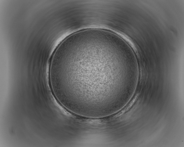 X0000113591006200909251132