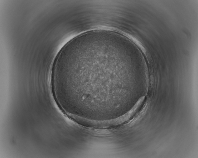 X0000113591007200909251132