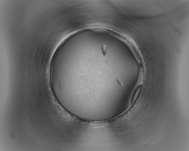 X0000113591008200909251132