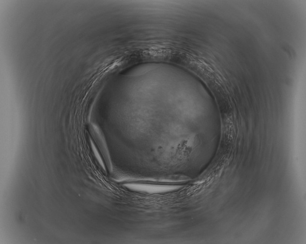 X0000113591009200909251131