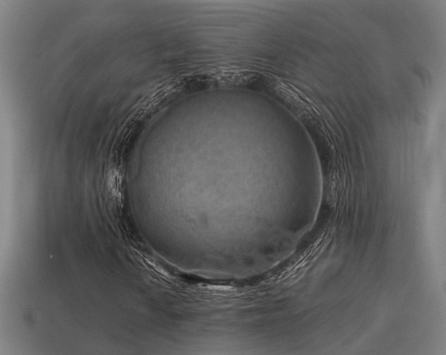 X0000113591010200909251131