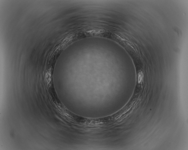 X0000113591011200909251131