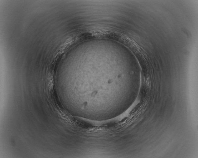 X0000113591012200909251131