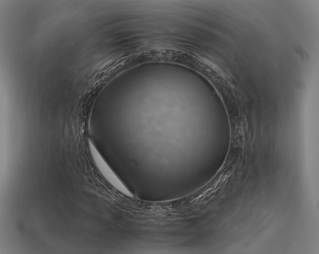 X0000113591013200909251131