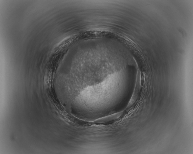 X0000113591014200909251131