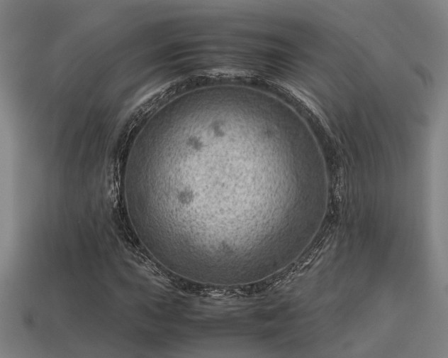 X0000113591015200909251131