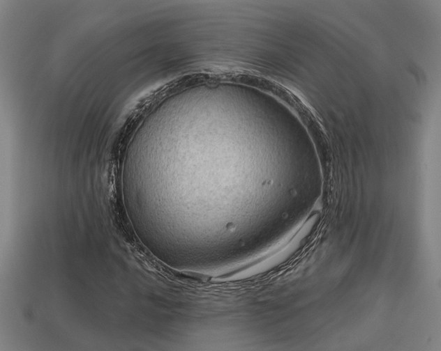 X0000113591016200909251131