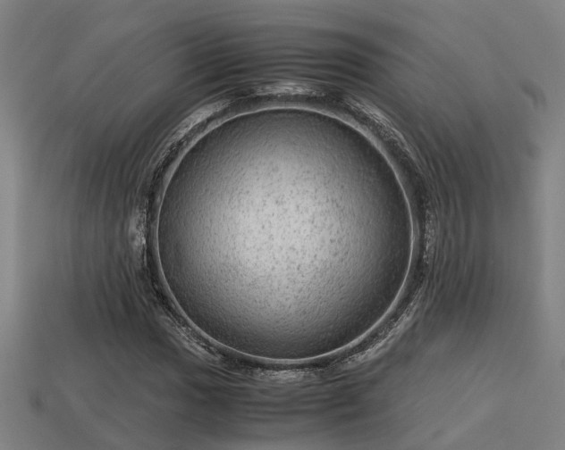 X0000113591017200909251131