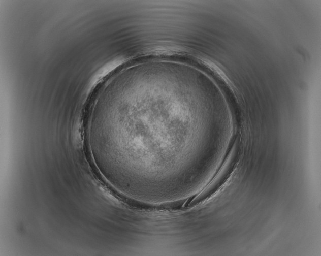 X0000113591018200909251131