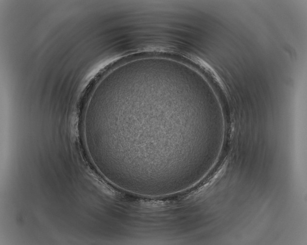 X0000113591019200909251131