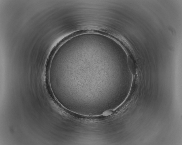 X0000113591020200909251131