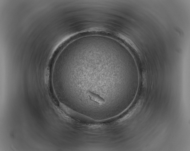 X0000113591021200909251131