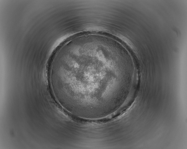 X0000113591022200909251131