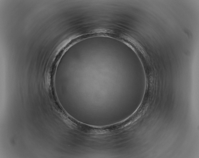 X0000113591023200909251131