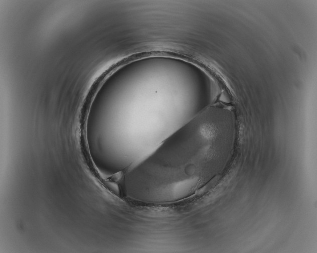 X0000113591024200909251131