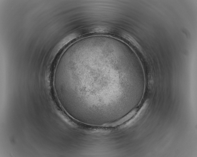 X0000113591026200909251131