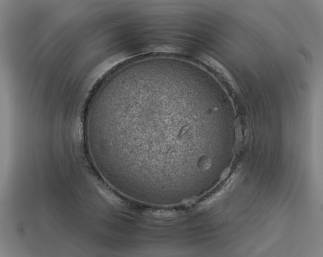 X0000113591027200909251131