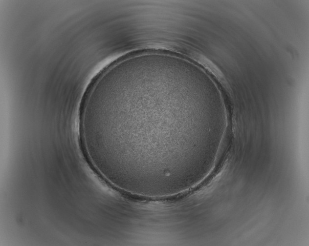 X0000113591028200909251131