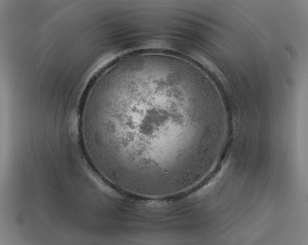 X0000113591029200909251131