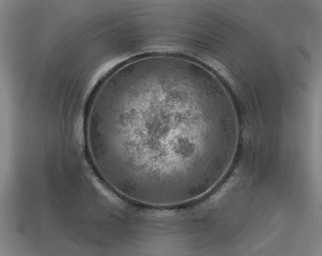 X0000113591030200909251131