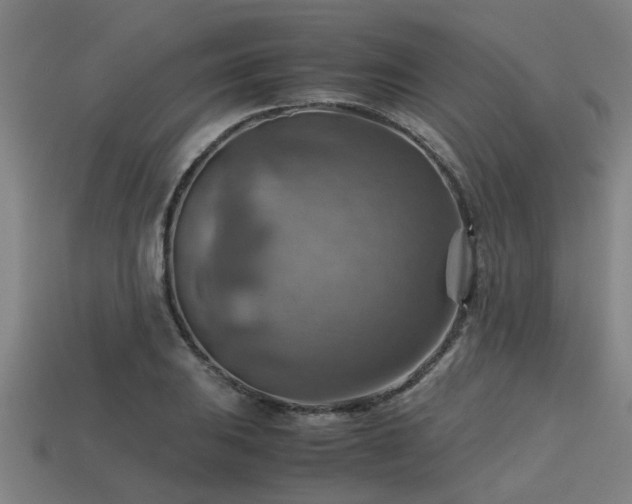 X0000113591031200909251131